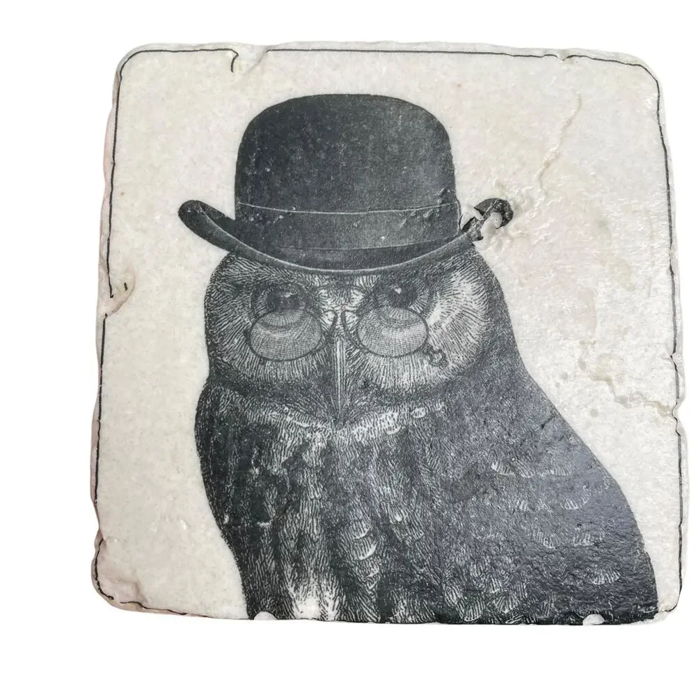 Anthropomorphic Animal Stone Tile Coasters Dog Cat Owl Rabbit Drawing Image READ